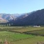 Conditions climatiques ideales pour la vigne