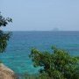 Jungle et eau