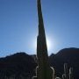Western argentin