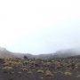 Les brumes de Tongariro