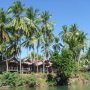 Bungalows sous palmiers