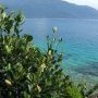 Harmonie de jungle et eau