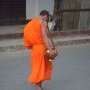 Orange fluo