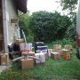 Souris, oeillets et cartons