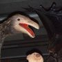 Moa et moi