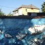 Histoire de poissons