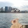 Carte postale de Sydney