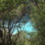 Un coin de turquoise dans la foret