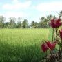 Rouge et vert