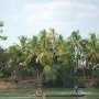 L'activite quotidienne du fleuve