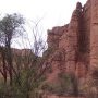 Jardin dans le desert