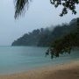 La foret fume apres la pluie !