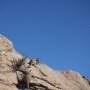 Lapins alpinistes