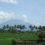 Le Mont Agung veille au loin