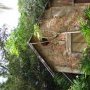 Des ruines perdues en pleine foret