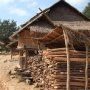 Reserve de bois, pour les futures maisons ?