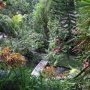 Jardin de notre hotel