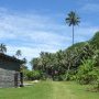 Un ilot de paix au milieu de la jungle