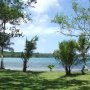 Pelouse anglaise sur ile vanuatu