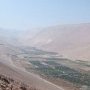 Cultures et desert