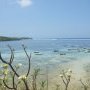 Encore un petit paradis