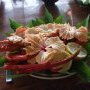 Surprise du jour : une langouste toute fraiche