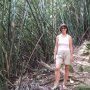 Dans la jungle