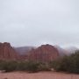 Incroyable, le desert sous la pluie