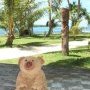 Sympa l'ile ou je passe mes vacances, non ?