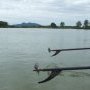 Les bateaux longue queue