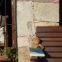Baloo rattrape le retard d'écriture des chroniques
