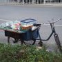 Livreur de poissons rouges a velo (?)
