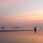 La langueur de la plage le soir