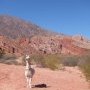 Un lama, pas un coyote