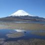 Canard volcanique