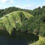 Des eaux lugubres