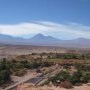 Rares nuances de vert dans le desert