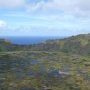 Les yeux du Rano Kau